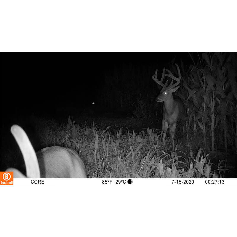 119949C_Nighttime_Image_1