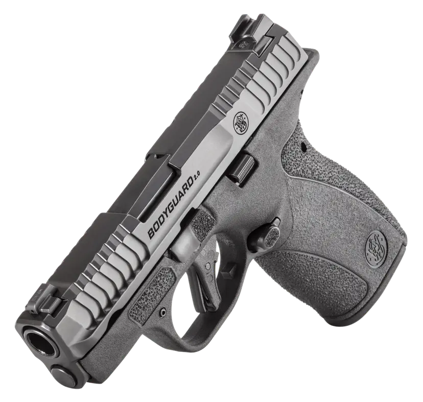 13927-sw-Bodyguard2_NTS-3Q-onwhite-Left__16121