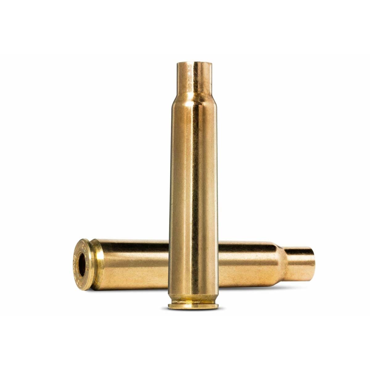 Brass-1-resized